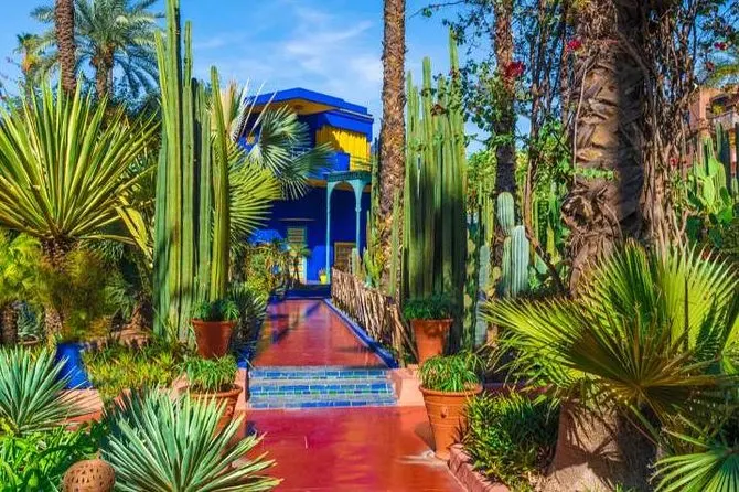 Marrakech's Iconic Gardens photo 2